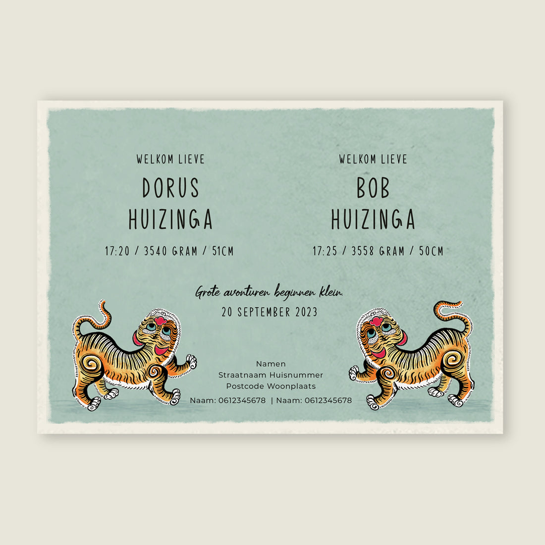 Tiger Twins - Story of July