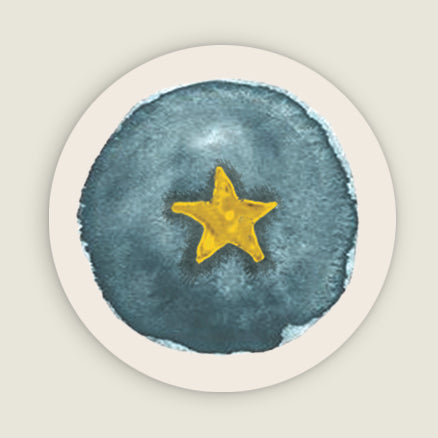 Sluitzegel Star - Story of July