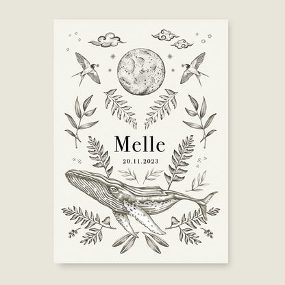 Nature Whale - Story of July