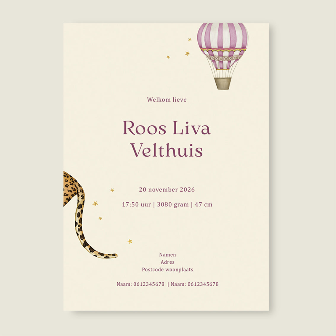 Balloon Panter Pink - Story of July