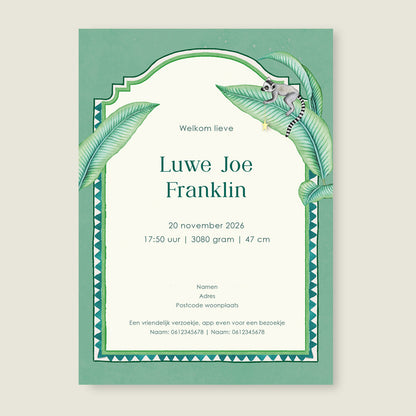 Giraffe And The Monkey Green - Story of July