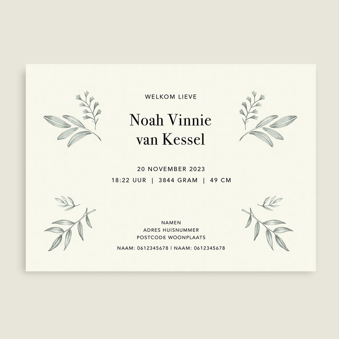 Panter Leaves - Story of July