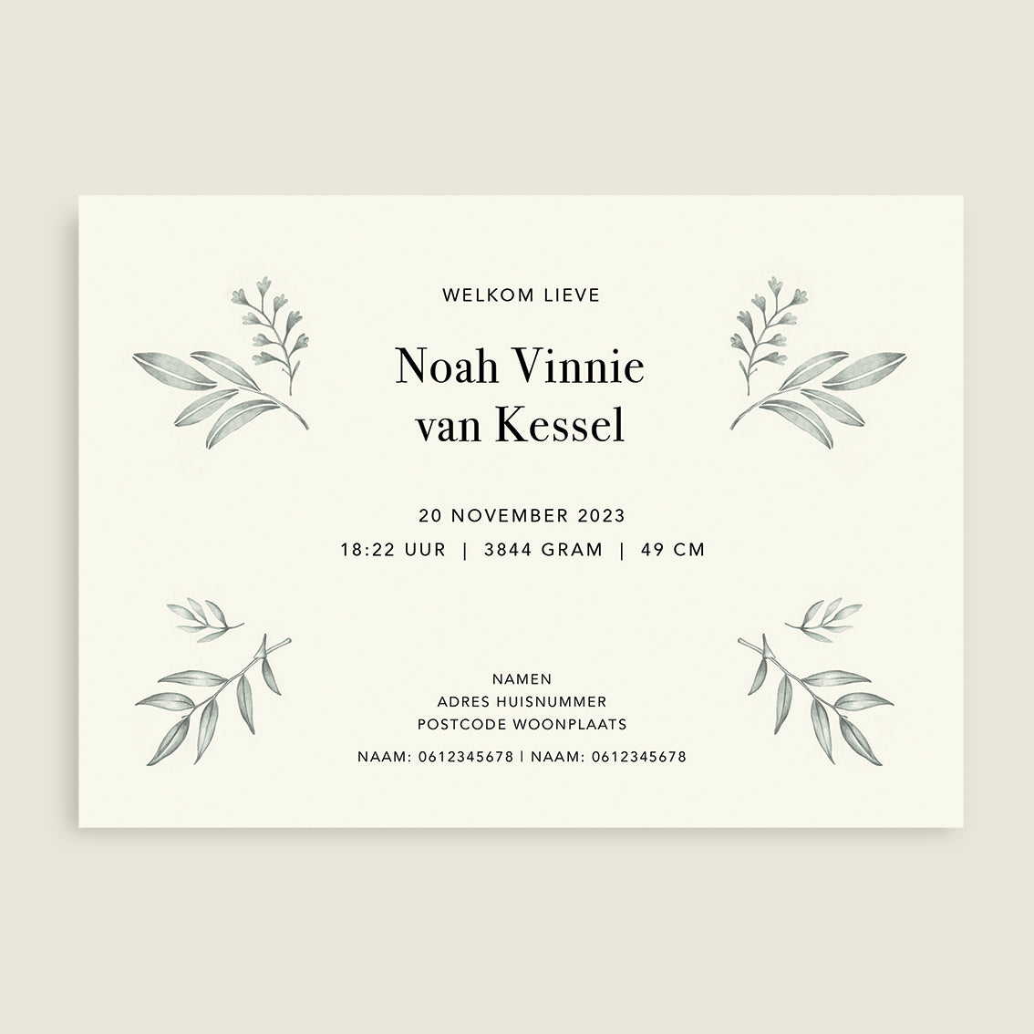 Panter Leaves - Story of July