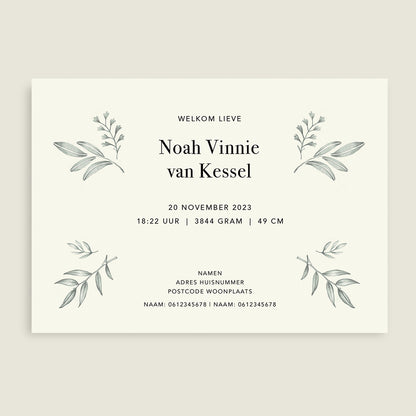 Panter Leaves - Story of July