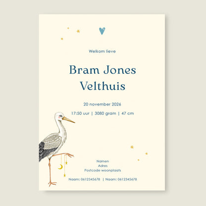 Sample Stork Basket - Story of July