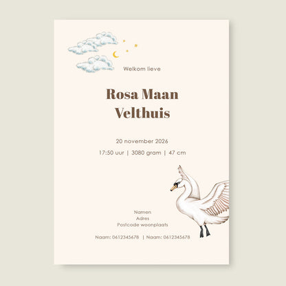 Sample Swan Basket Offwhite - Story of July