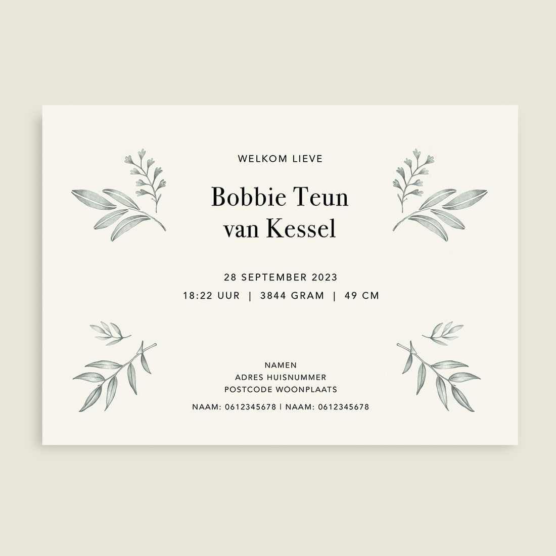 Hello Rabbit - Story of July