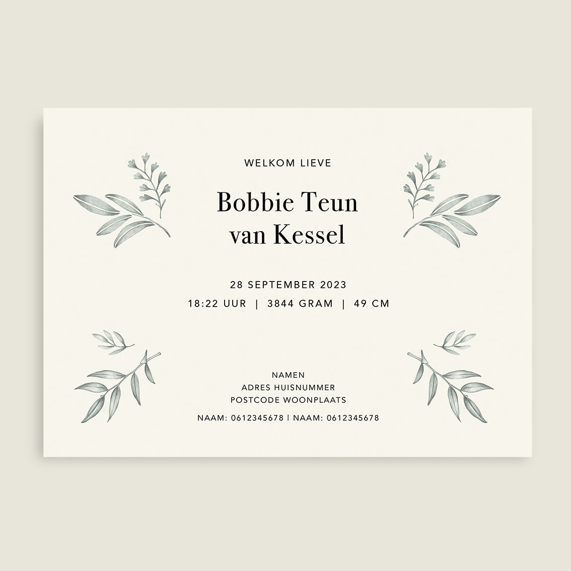 Hello Rabbit - Story of July