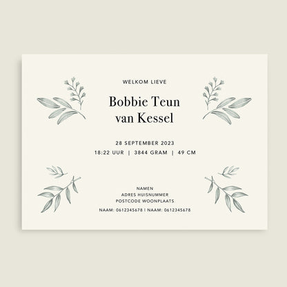 Hello Rabbit - Story of July