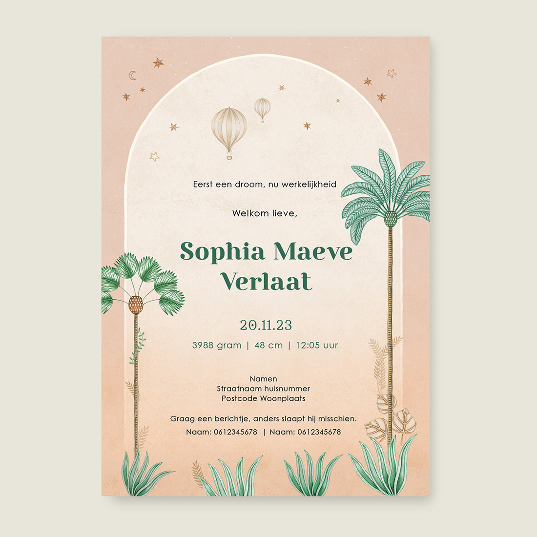 Jumping Zebra Terra - Story of July