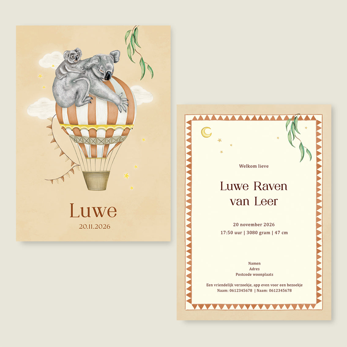 Sample Balloon Koala Terra - Story of July