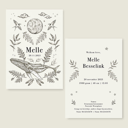 Nature Whale - Story of July