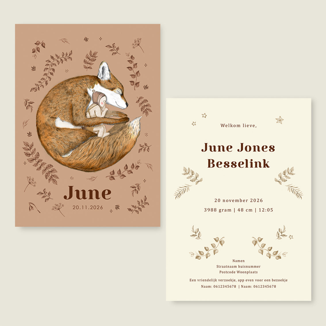 Sleeping Fox Terra - Story of July