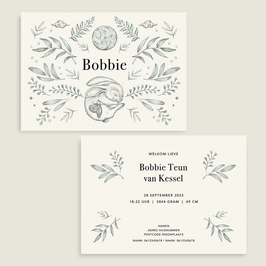 Hello Rabbit - Story of July