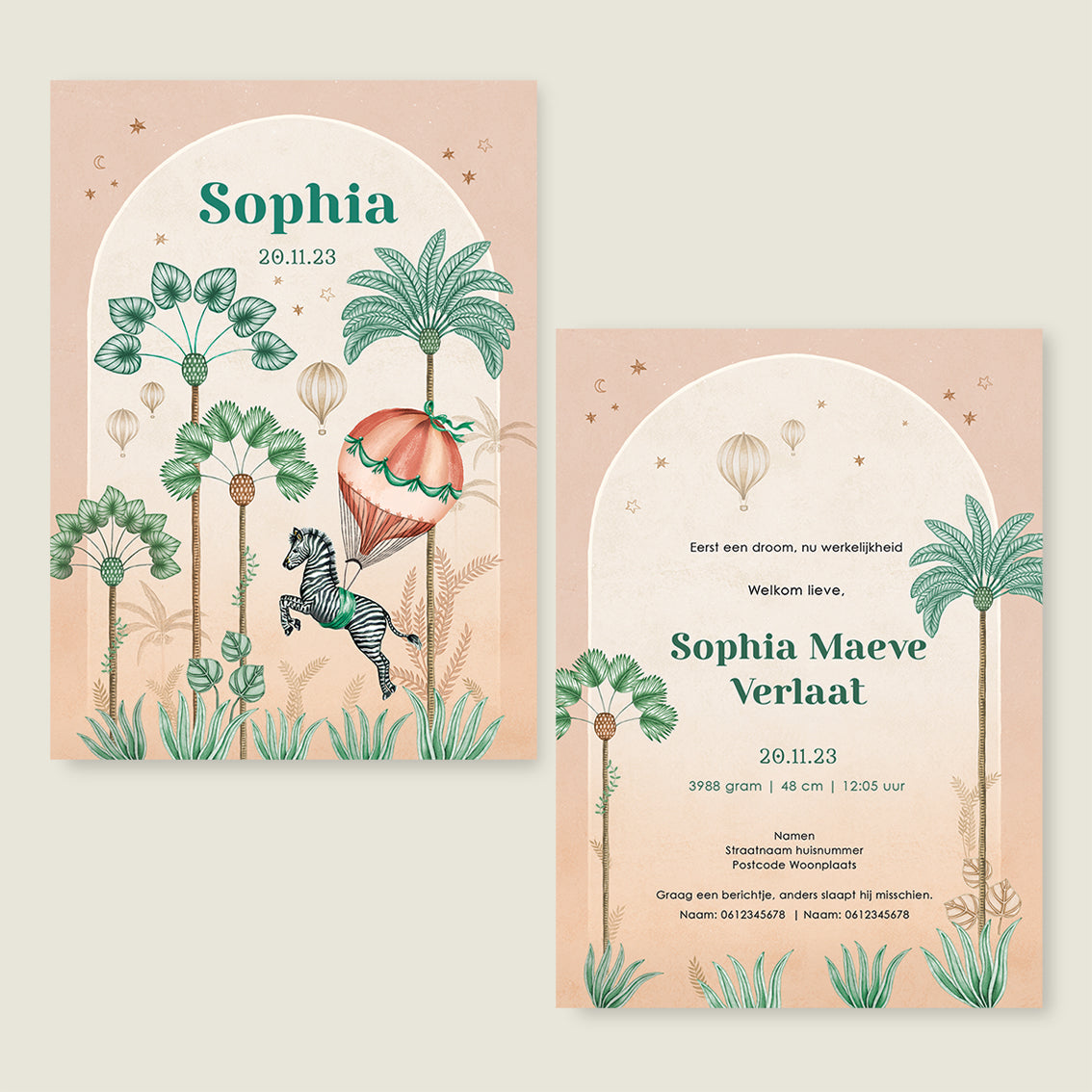 Jumping Zebra Terra - Story of July