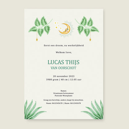 Sample Cute Tiger Light Green - Story of July