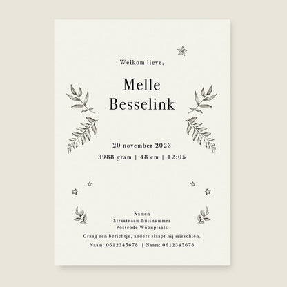 Sample Nature Whale - Story of July