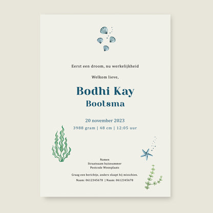 Cheeky Otters Lake - Story of July