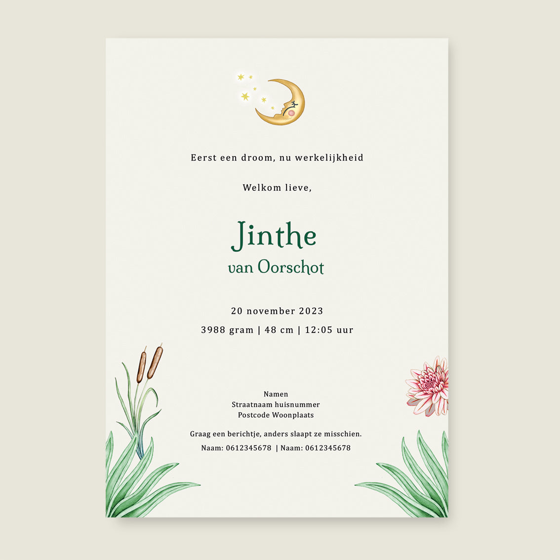 Deer Family Green - Story of July