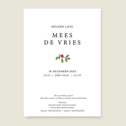 Sample The Stork - Story of July