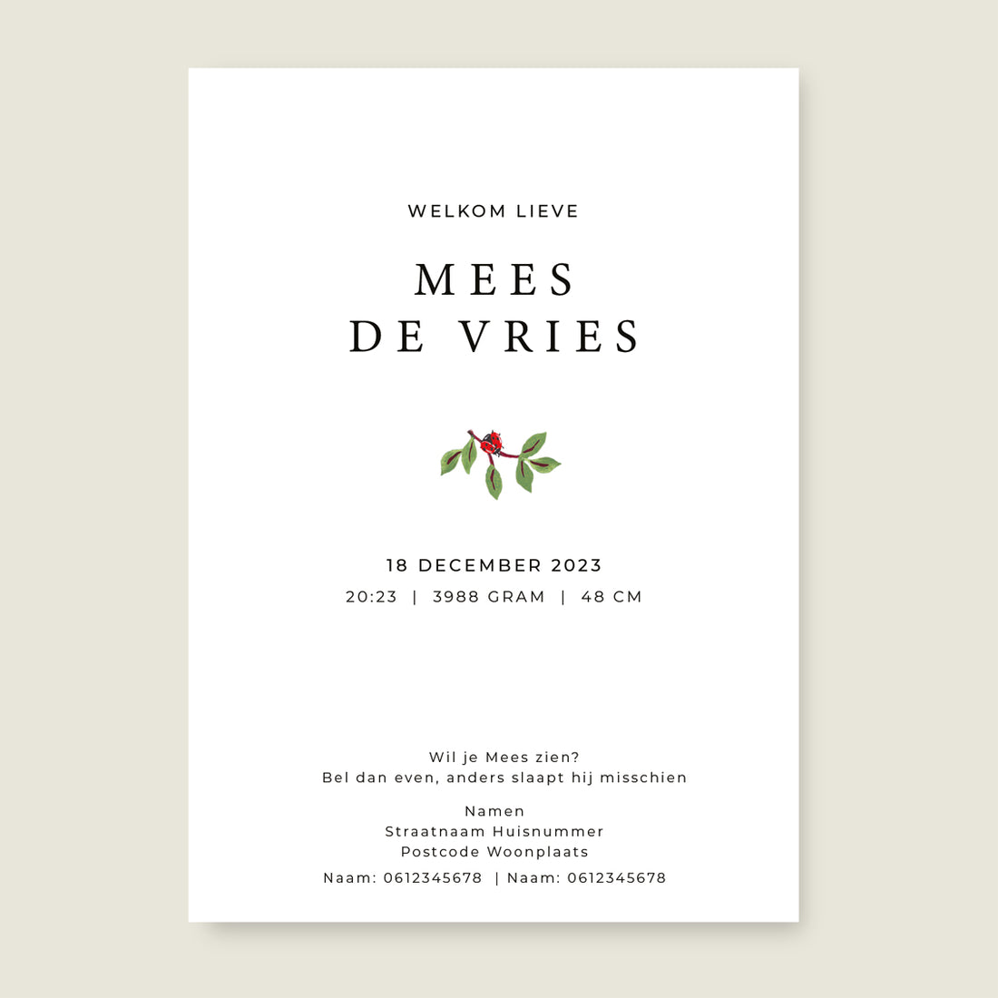 The Stork - Story of July