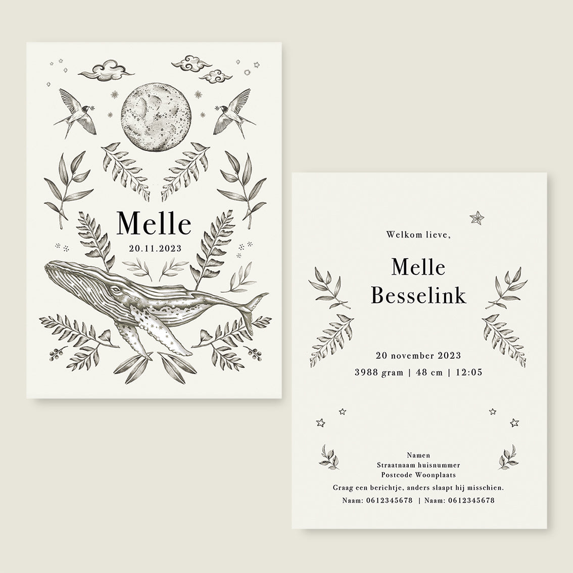 Sample Nature Whale - Story of July