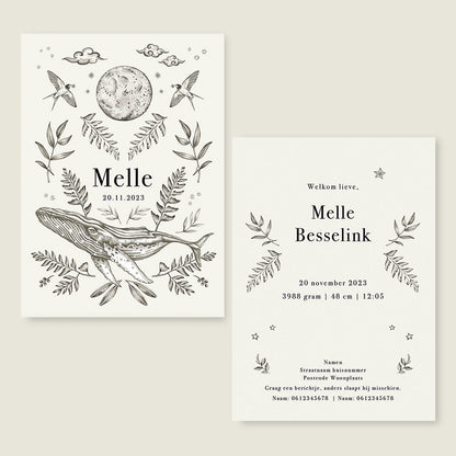 Sample Nature Whale - Story of July