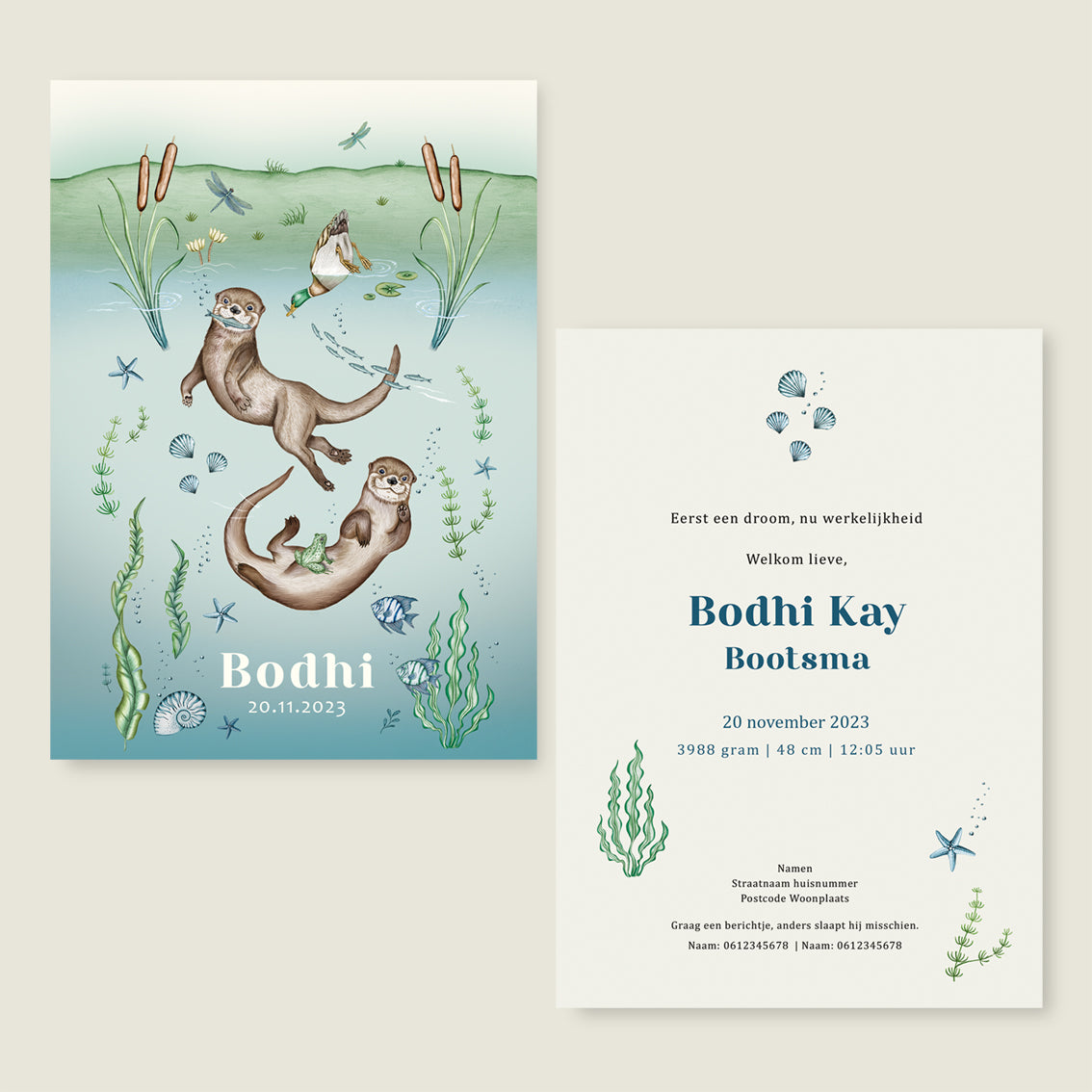 Cheeky Otters Lake - Story of July