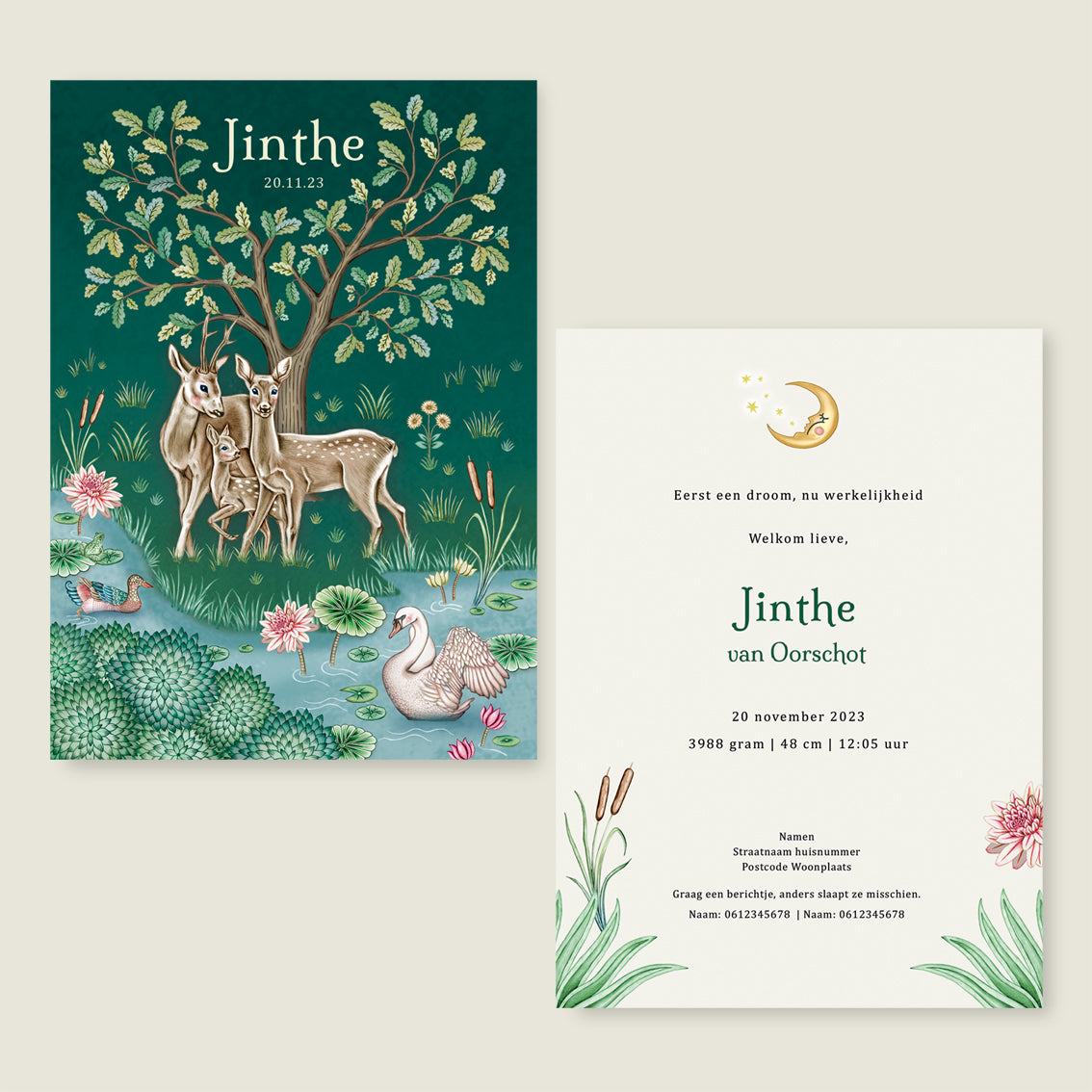 Deer Family Green - Story of July