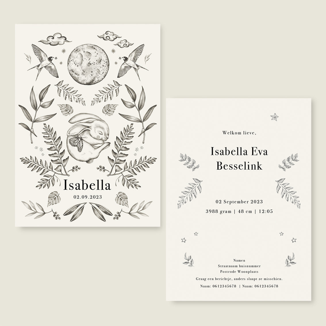 Little Rabbit - Story of July