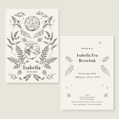 Little Rabbit - Story of July