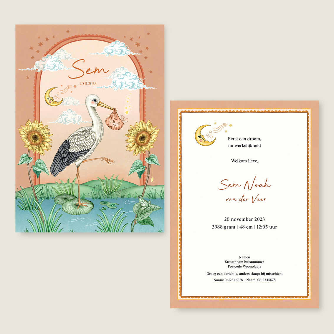 Stork And Baby Terra - Story of July