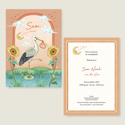 Stork And Baby Terra - Story of July