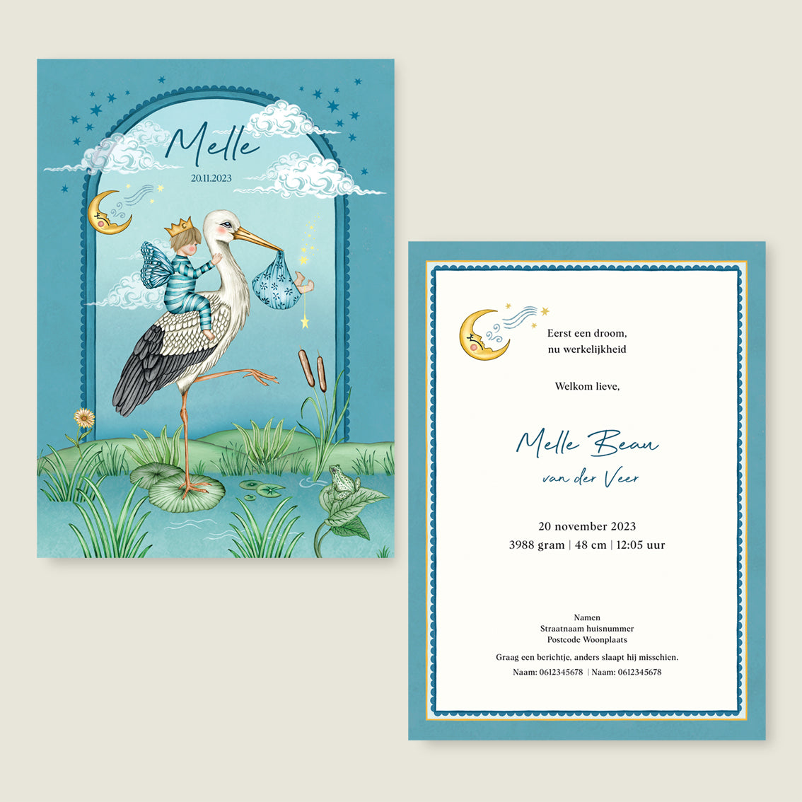 Stork And Baby Brother Blue - Story of July