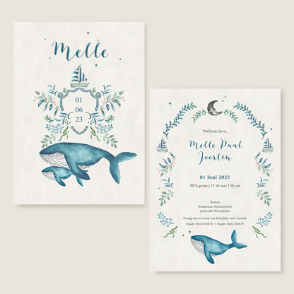 Sample The Blue Whale - Story of July