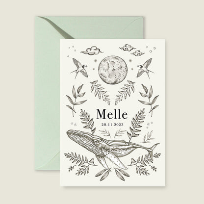 Sample Nature Whale - Story of July