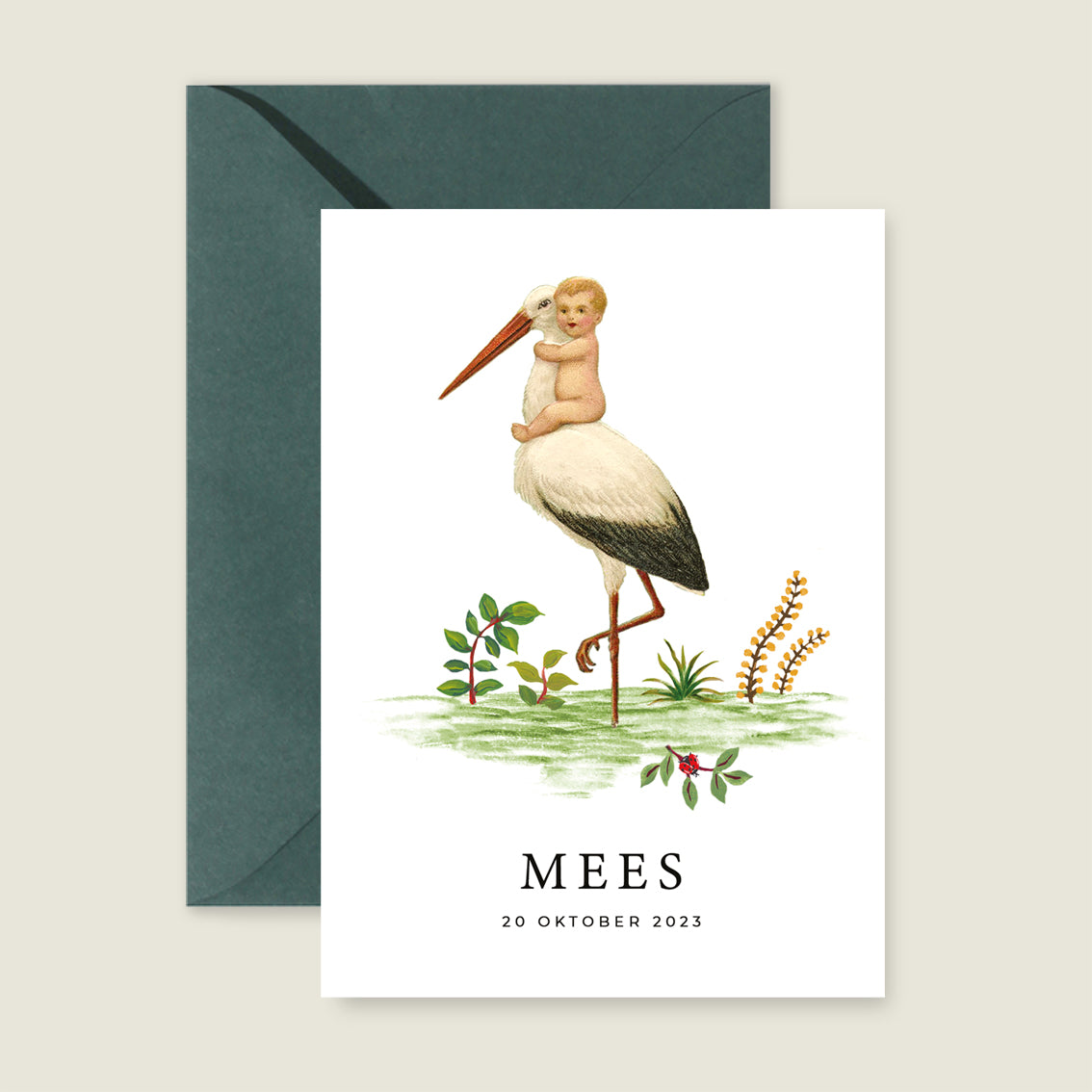 The Stork - Story of July